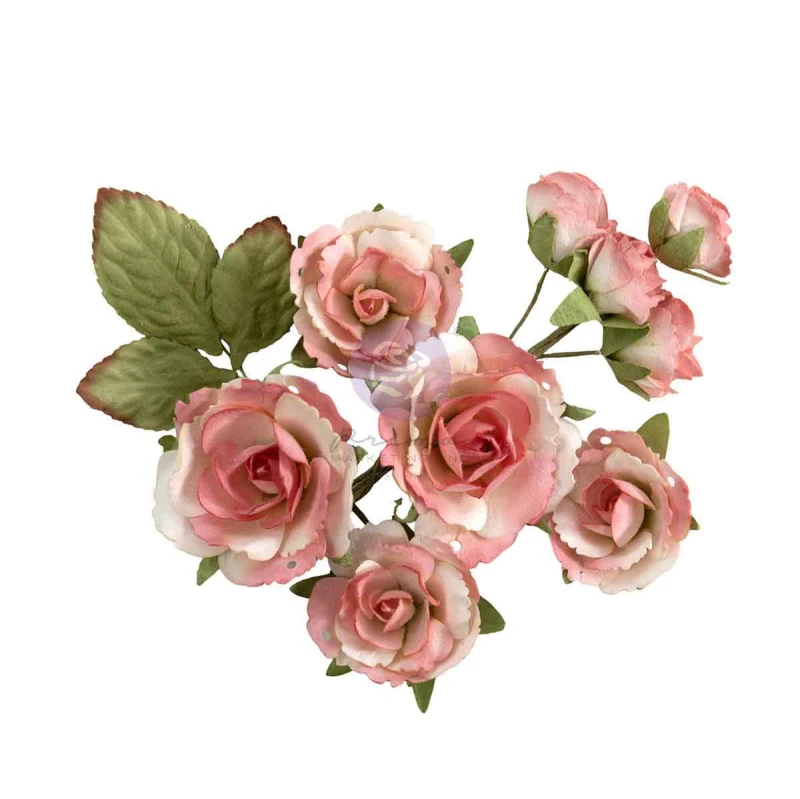 Homegrown Flowers Garden Rose Blush (10pcs) by The 3 Girls Tale 683672.jpg