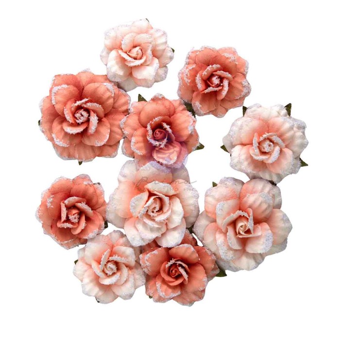 Homegrown Flowers Blush Harvest (10pcs) by The 3 Girls Tale 683641.jpg