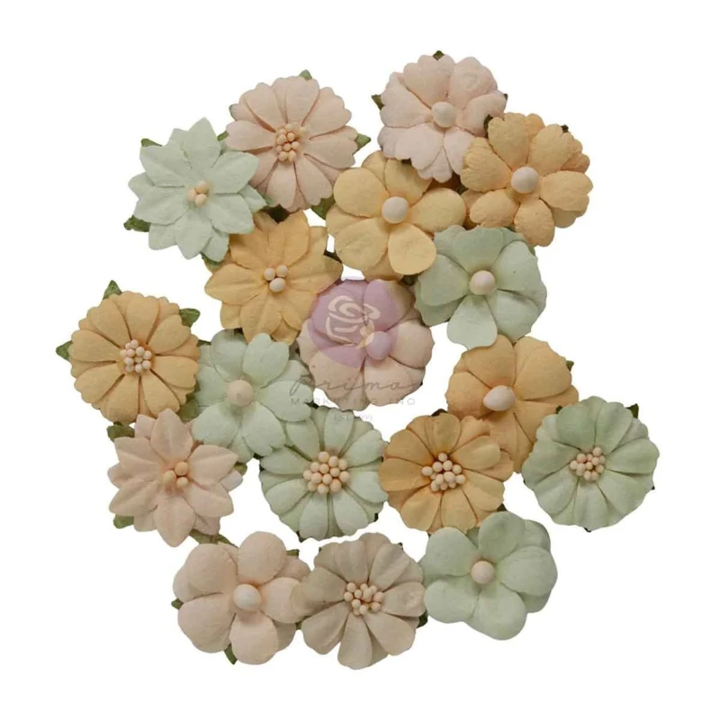 Kwiaty-prima-marketing-homegrown-flowers-meadow-petals-683665.jpg