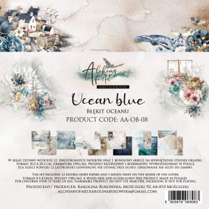 AA-OB-08_COVER.jpg