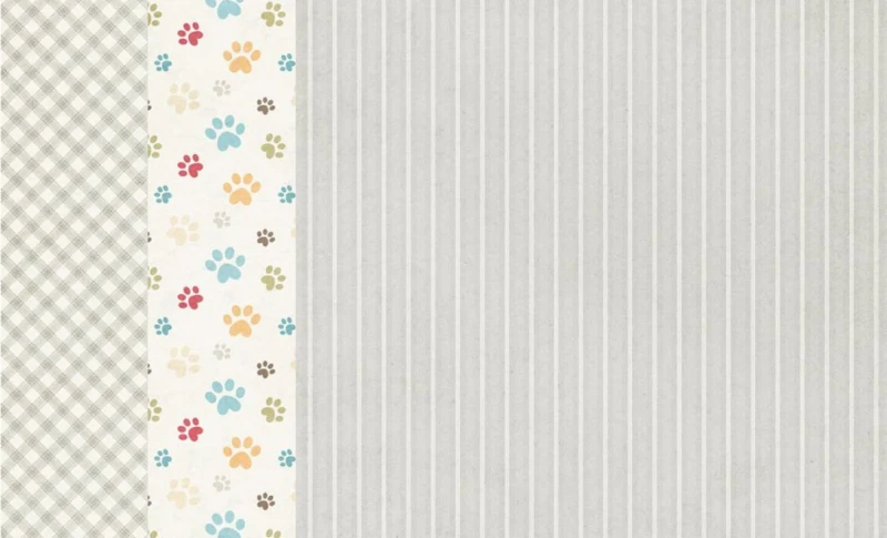 Zestaw-papierow-do-scrapbookingu-30x30-crafters-companion-pawsitivity_5.jpg