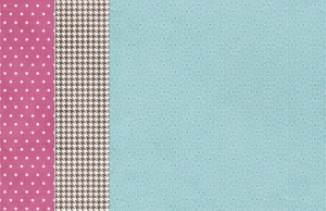 Zestaw-papierow-do-scrapbookingu-30x30-crafters-companion-pawsitivity_4.jpg
