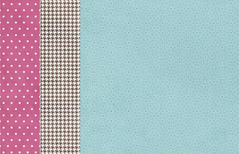 Zestaw-papierow-do-scrapbookingu-30x30-crafters-companion-pawsitivity_4.jpg