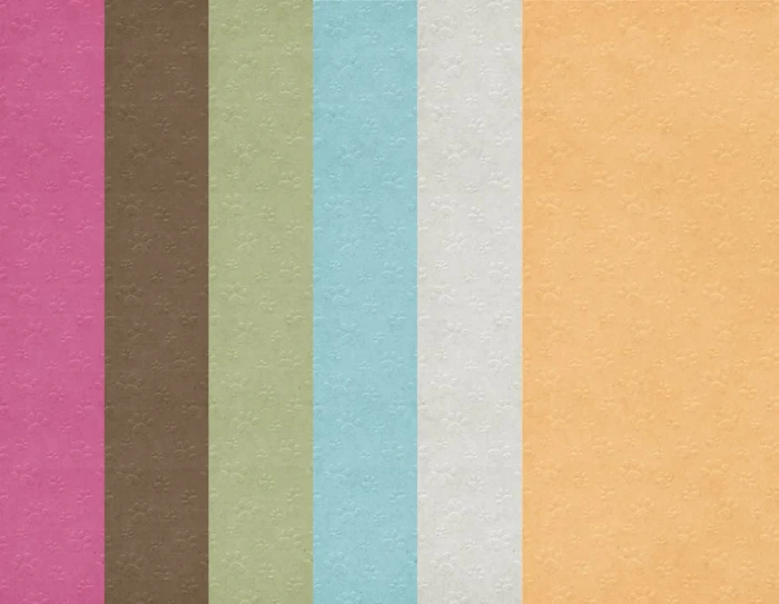 Zestaw-papierow-do-scrapbookingu-30x30-crafters-companion-pawsitivity_1.jpg
