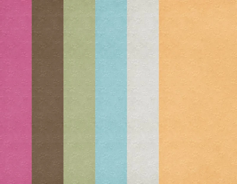 Zestaw-papierow-do-scrapbookingu-30x30-crafters-companion-pawsitivity_1.jpg