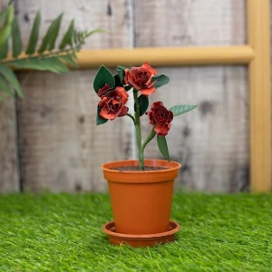 Wykrojnik-crafters-companion-arts-n-flowers-garden-florals-tea-rose_1.jpg