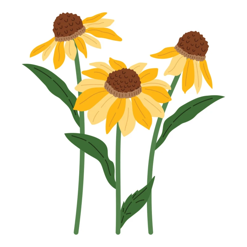 Wykrojnik-spellbinders-cascading-coneflowers_1.jpg
