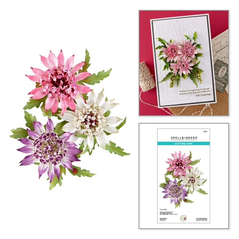 Wykrojnik-spellbinders-serenity-garden-astrantia_2.jpg