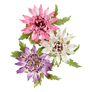 Wykrojnik-spellbinders-serenity-garden-astrantia_1.jpg