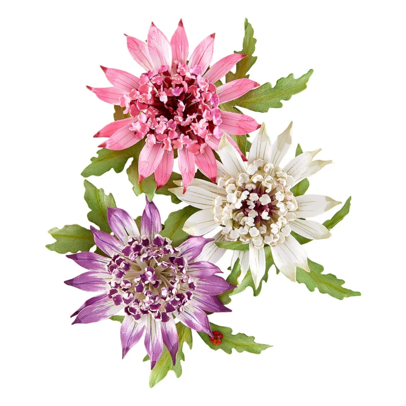 Wykrojnik-spellbinders-serenity-garden-astrantia_1.jpg
