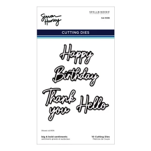 Wykrojnik-spellbinders-cascading-coneflowers-big-and-bold-sentiments.jpg