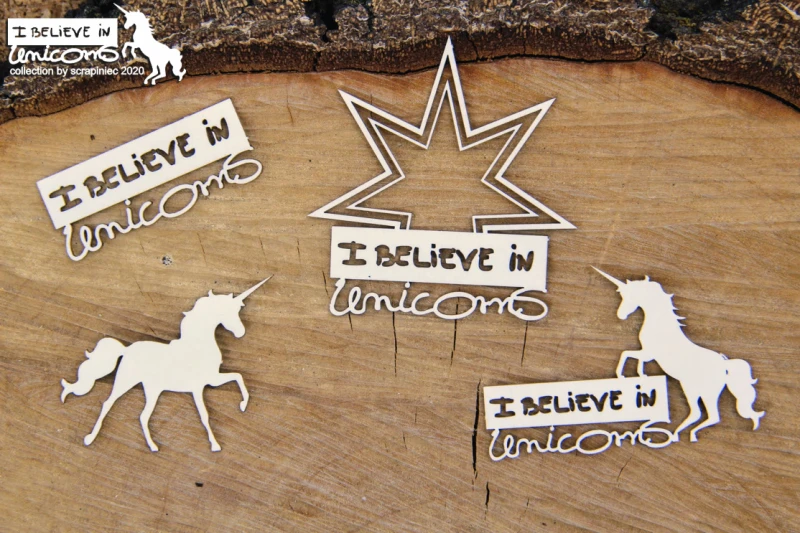 Believe in Unicorns_ emblemat z gwiazda.jpg