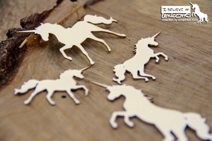 Believe in Unicorns_jednorozce1.jpg