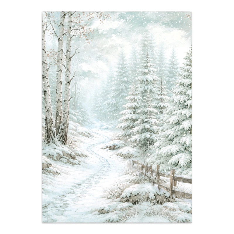 SBJK28_12A.jpg