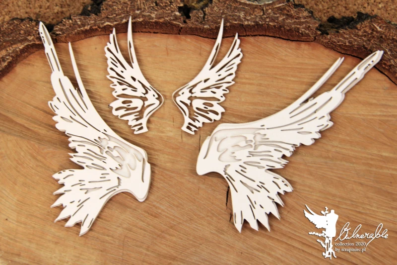 Vulnerable_big_set_of_wings.jpg