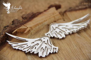 Vulnerable_small_set_of_wings.jpg