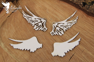 Vulnerable_small_set_of_wings01.jpg