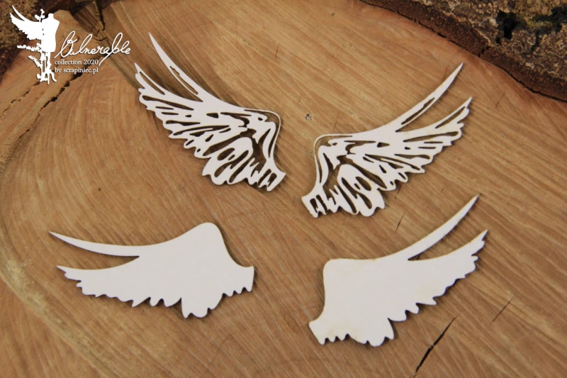 Vulnerable_small_set_of_wings01.jpg