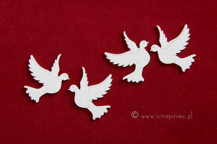 Gołębie_małe_4szt.jpg