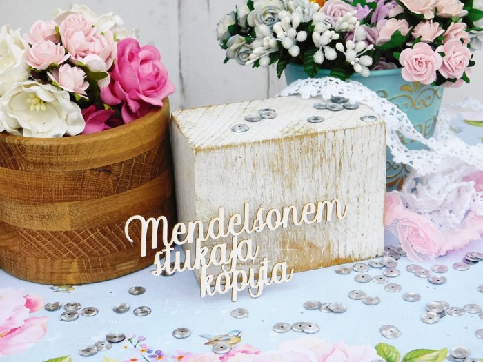 Napis - Mendelsonem...jpg