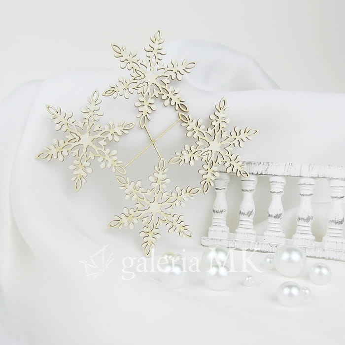 27_www.JPG