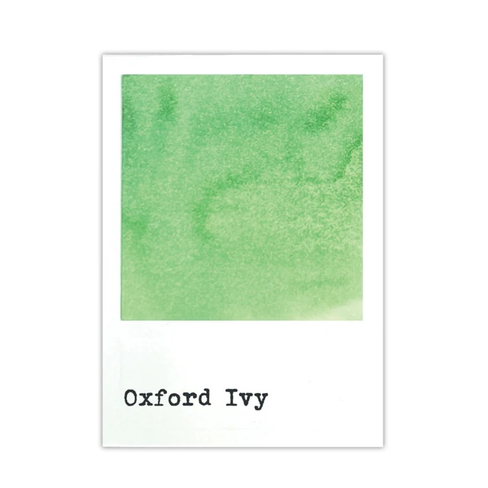 Tusz-ranger-49-market-dye-ink-re-inkers-oxford-ivy.jpg