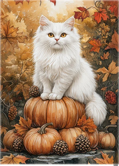 Papier-ryzowy-CN14203-A6.jpg