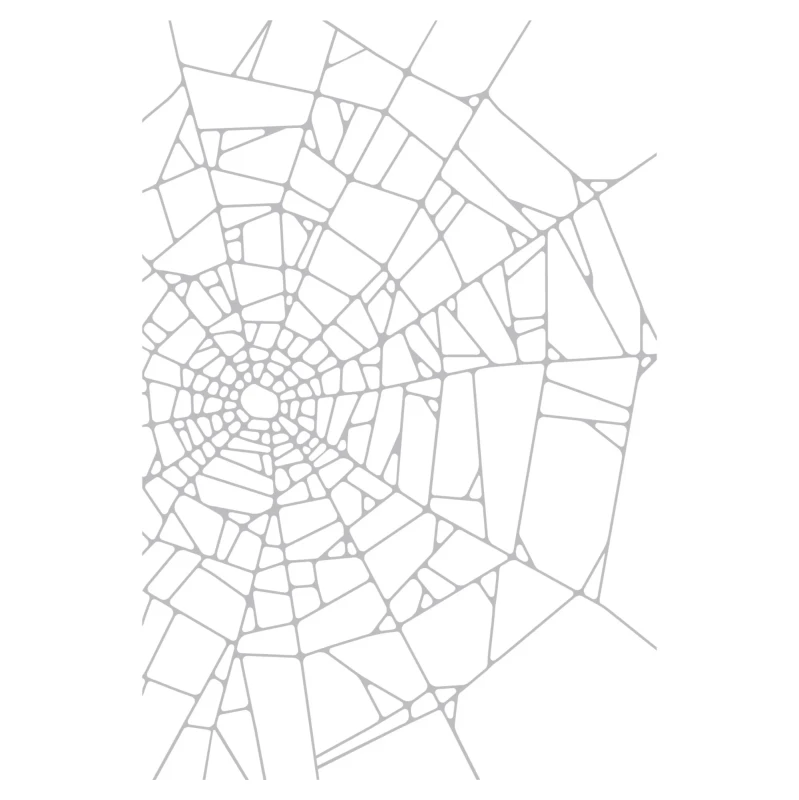 Folder-do-embossingu-sizzix-2d-texture-fades-w-a5-embossing-folder-vault-cobweb_1.jpg