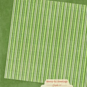 4503283-8-green-stripe-front.jpg