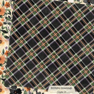 4503300-floral-&-plaid-back.jpg