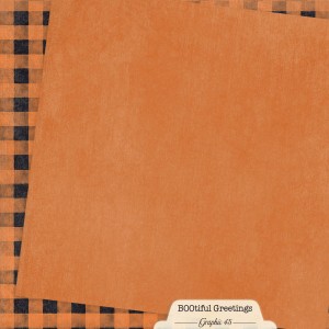 4503306-3-orange-buffalo-check-back.jpg