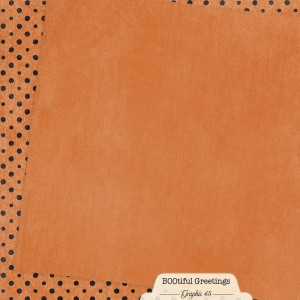 4503306-4-orange-dot-back.jpg