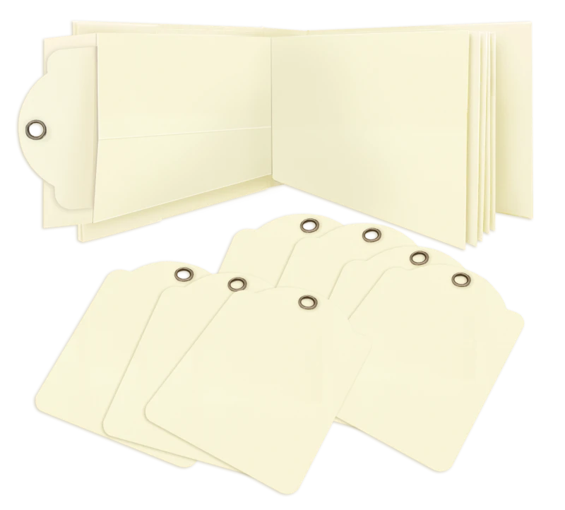 Album-graphic-45-rectangle-policy-envelope-album-ivory_1.jpg