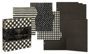 Album-graphic-45-check-binder-album-with-interactive-pages_1.jpg