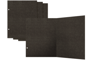 Album-graphic-45-check-binder-album-with-interactive-pages_4.jpg