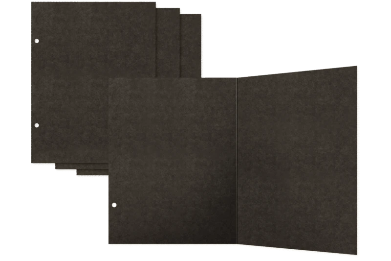 Album-graphic-45-check-binder-album-with-interactive-pages_4.jpg