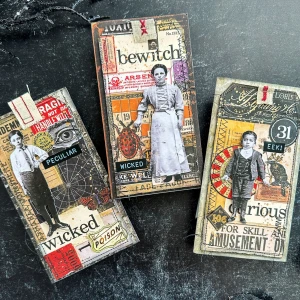 Zestaw-gotowych-elementow-idea-ology-tim-holtz-halloween-ephemera-pack_2.jpg
