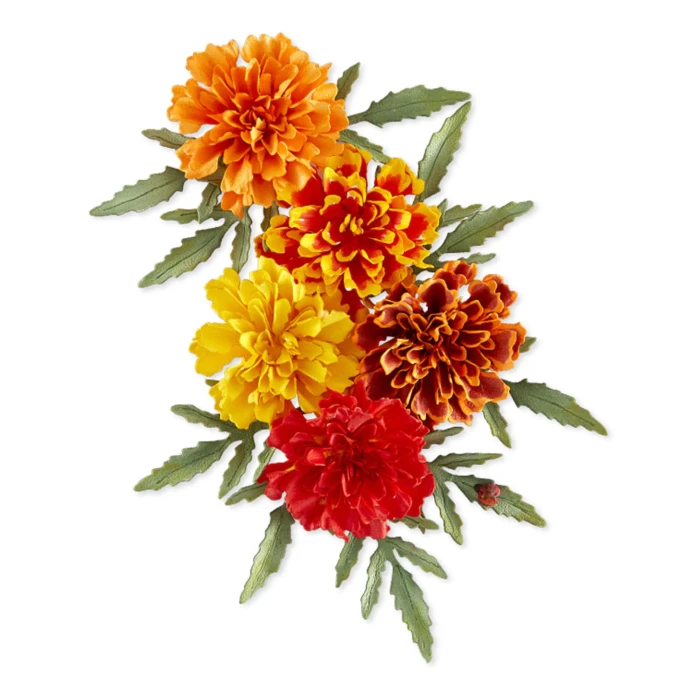 Wykrojnik-spellbinders-the-cottage-garden-marigold-1.jpg
