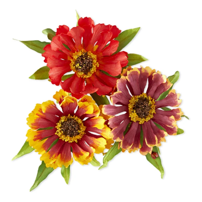 Wykrojnik-spellbinders-the-cottage-garden-helenium_1.jpg