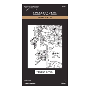 Plytka-do-tloczenia-spellbinders-create-your-way-everyday-press-foil-plates.jpg