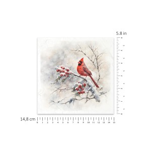 RSM147-small-3a.jpg