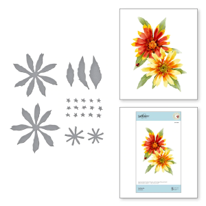 spellbinders-gaillardia-etched-dies-s4-1076 (3).jpg