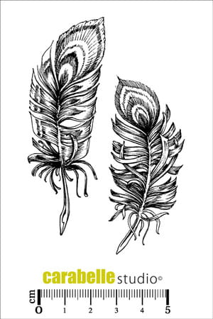 STEMPEL-carabelle-studio-la-folie-des-plumes-pióra.jpg