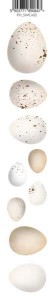 Pasek-5x30-kolekcja-spacer-w-chmurach-2.jpg
