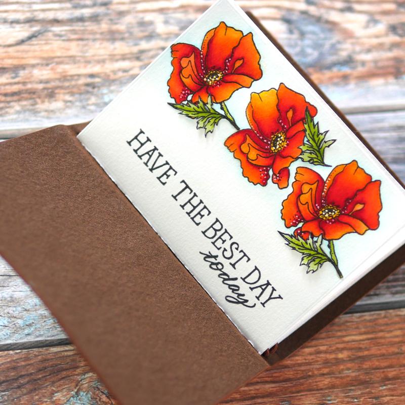 Stempel-hope_1.jpg