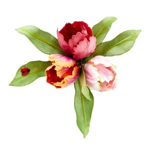 Wykrojnik-spellbinders-parrot-tulip_1.jpg