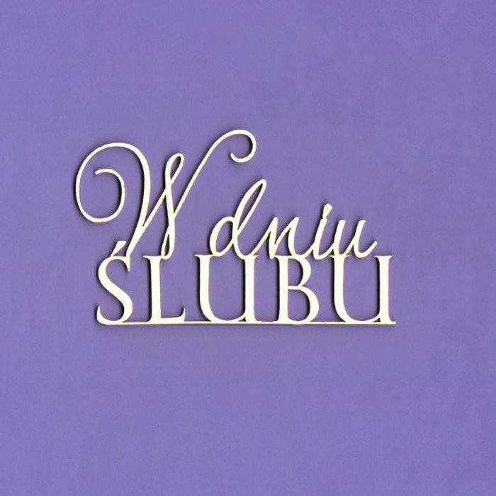 WYK1312 Napis W dniu ślubu.jpg