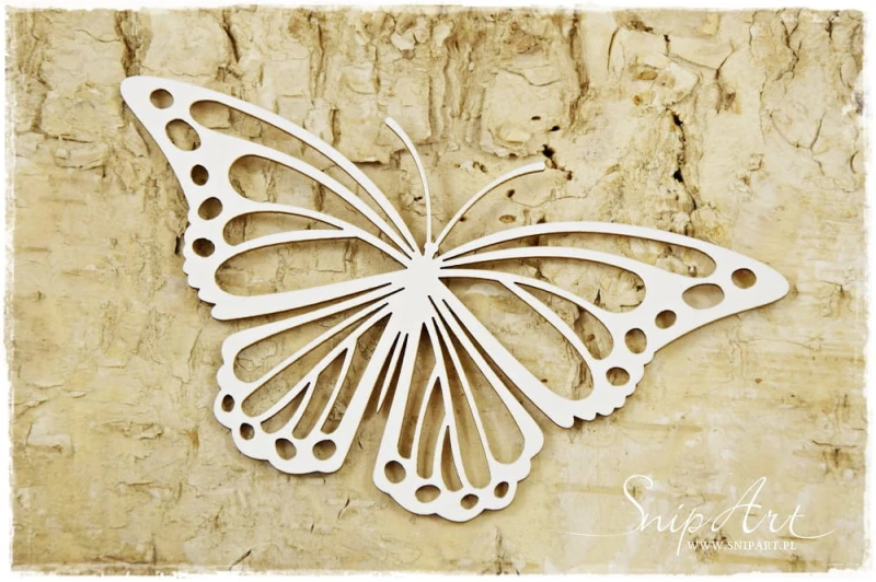 Motyl #2.jpeg