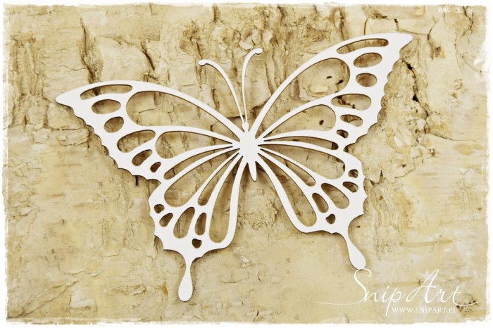 Motyl #3.jpeg