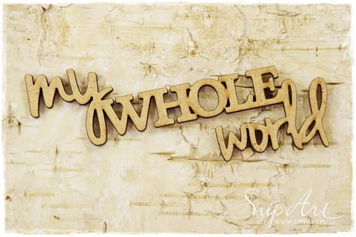 Napis- My whole world.jpeg